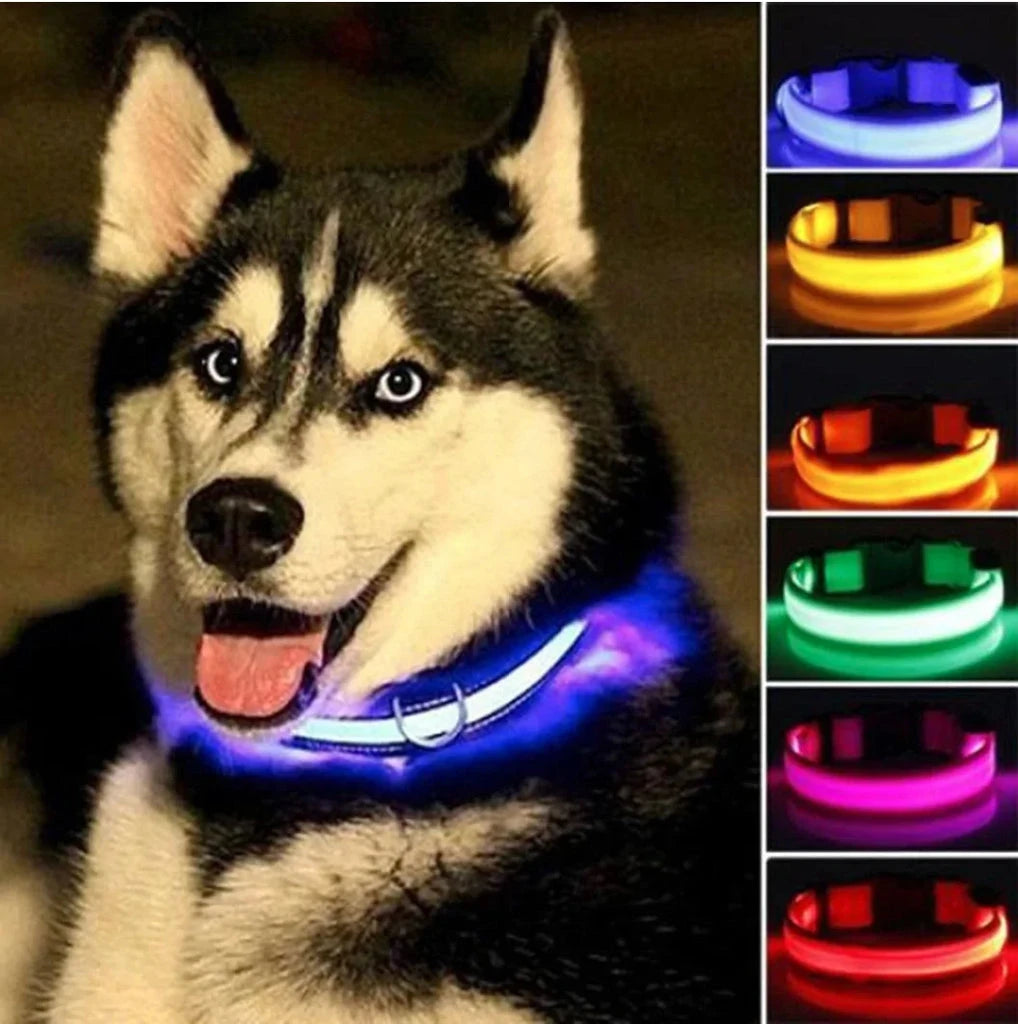 Discover the perfect pet collar for your furry friend at PetChoiceshop. From stylish Lupine pet collars to pet-safe training collars and comfortable harnesses, we offer top-quality options for every pet's safety and comfort.