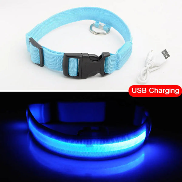 Led Dog Collar Anti-Lost Collar