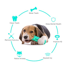 Dog Molar Chew Cleaning Toothbrusha