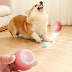 Electric Dog Toys Smart Puppy