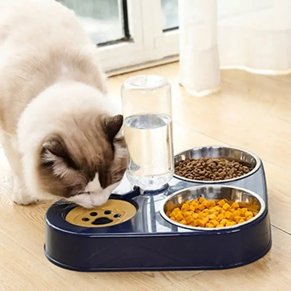 3 in 1 Pet Food Bowl  Drinking Feeder