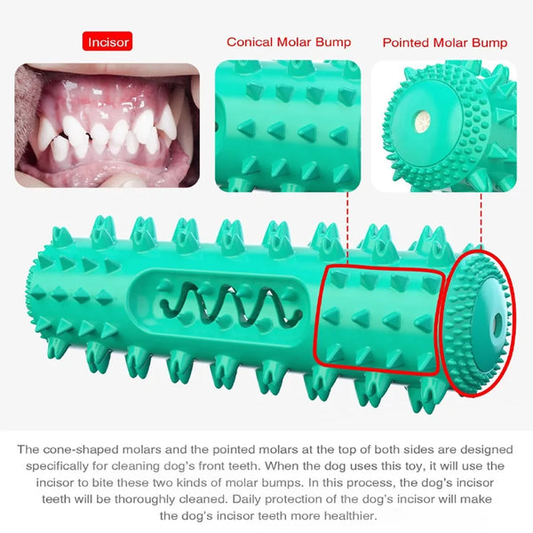 Dog Molar Chew Cleaning Toothbrusha