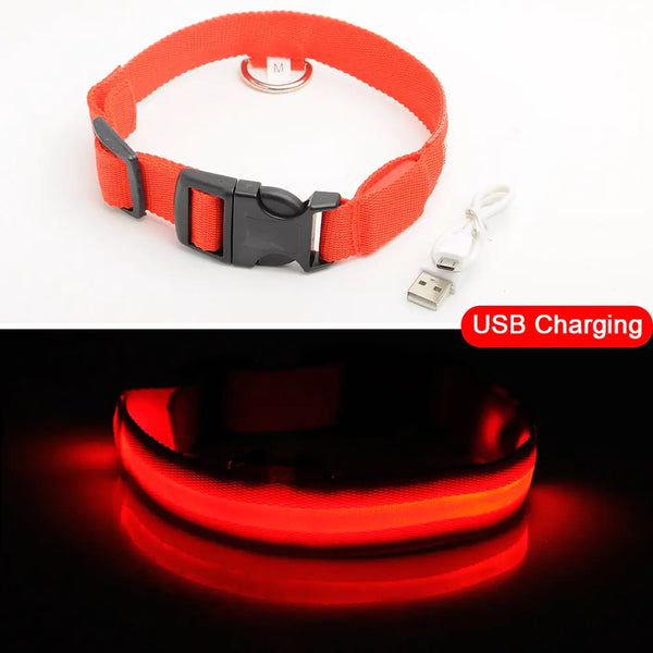 Led Dog Collar Anti-Lost Collar