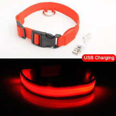 Led Dog Collar Anti-Lost Collar