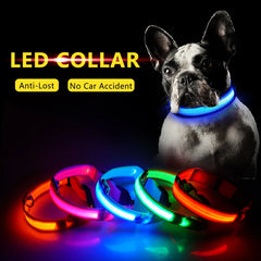 Led Dog Collar Anti-Lost Collar