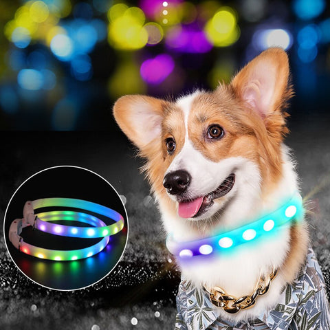 Pet Dog Collar Night Safety Flashing Glow