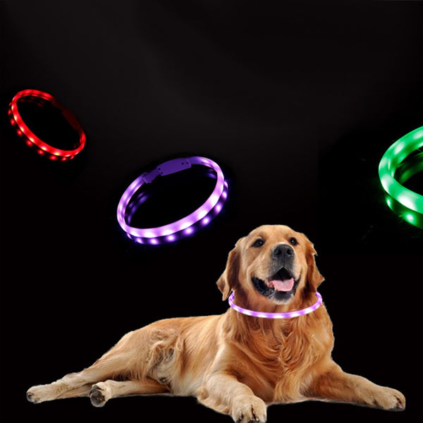 Pet Dog Collar Night Safety Flashing Glow