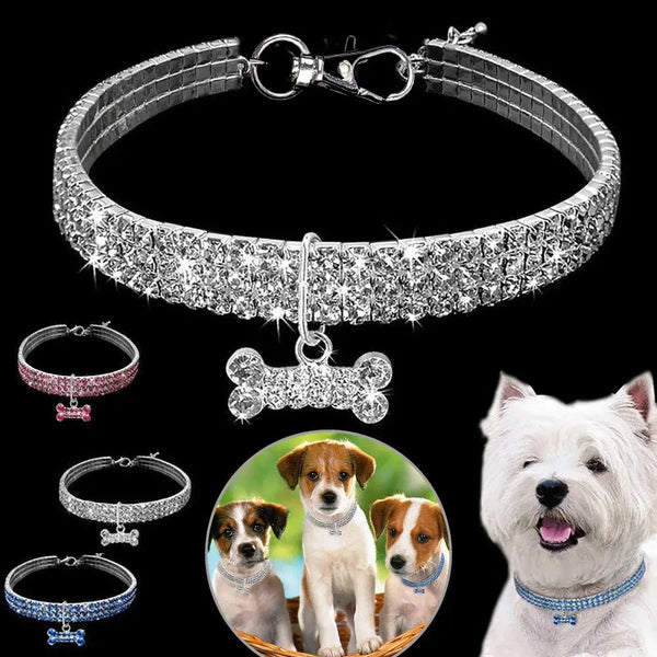 Glitter Pendant Dog Collar